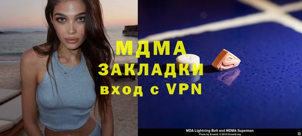 хмурый Арсеньев
