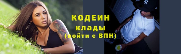 хмурый Арсеньев