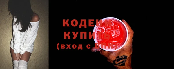 хмурый Арсеньев