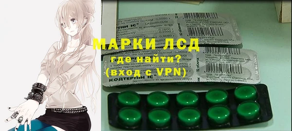 хмурый Арсеньев