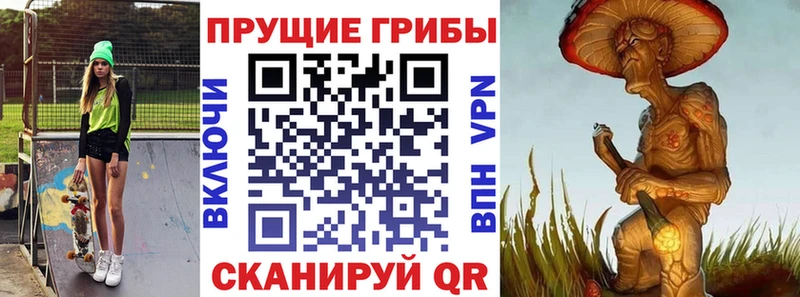 Галлюциногенные грибы Psilocybe  Кольчугино 