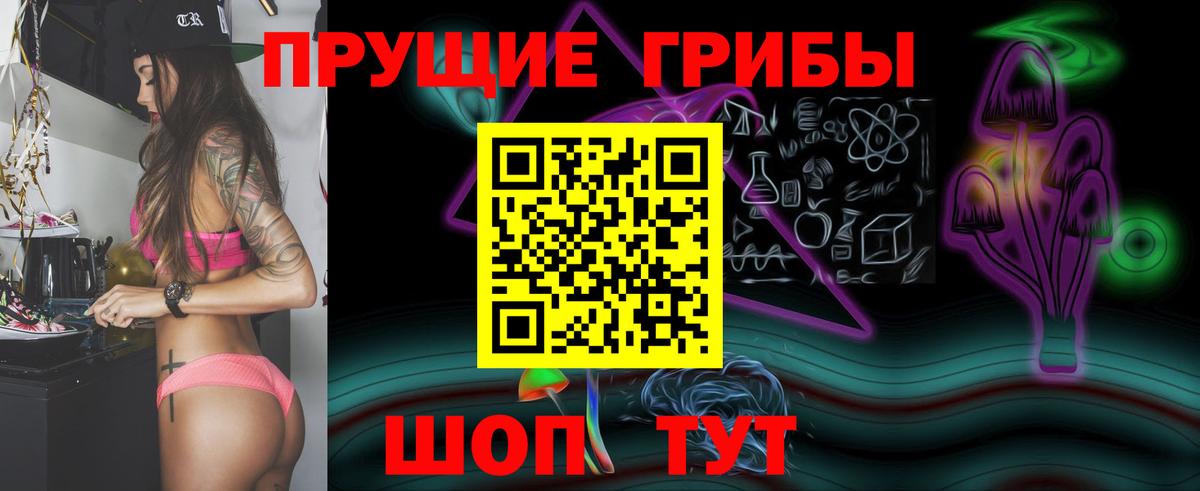 Кольчугино  Галлюциногенные грибы Psilocybe  Вход с VPN 
