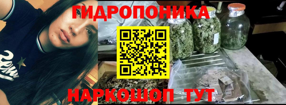 Канабис MAZAR  Вход с VPN  Кольчугино  Каннабис марихуана 